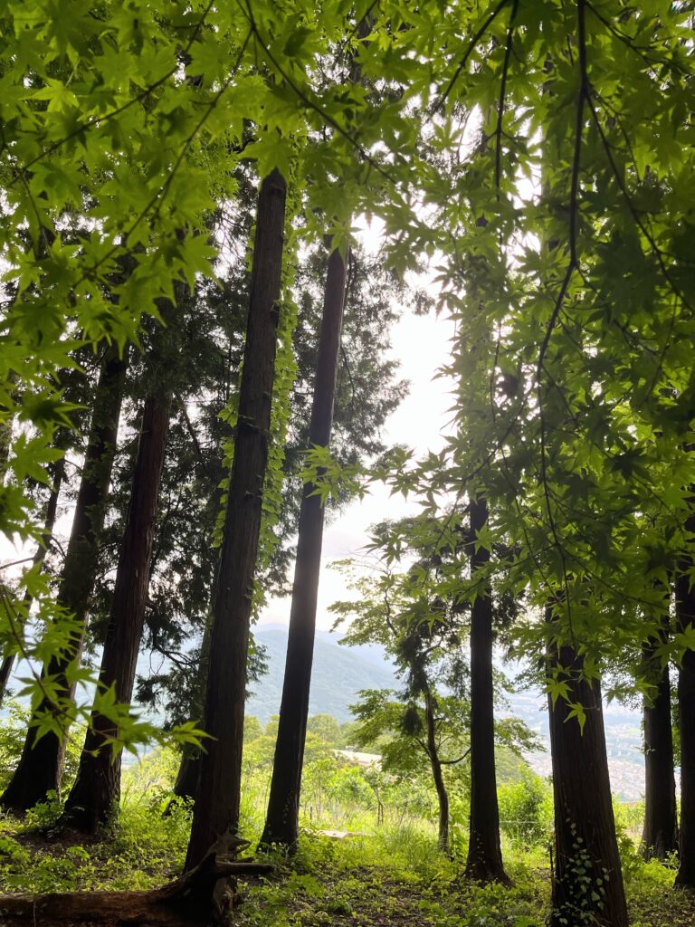 寳登山神社 奥宮